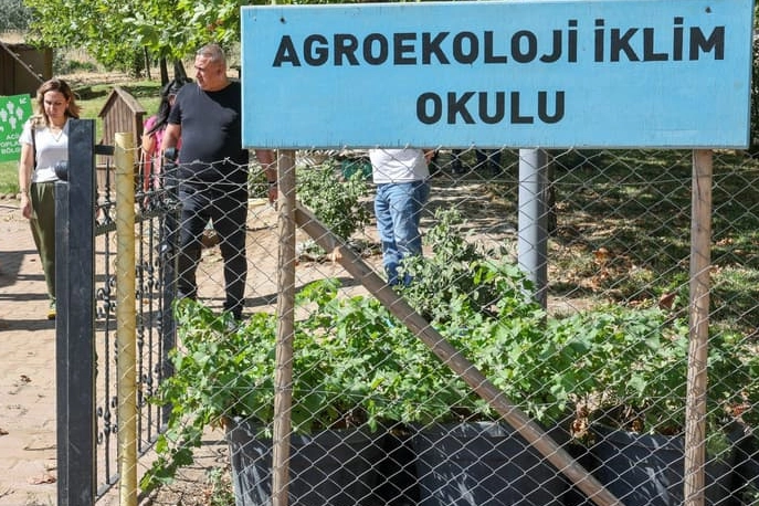 Diyarbakır'da Tıbbi Aromatik Bitki Üretim ve İşleme Tesisi