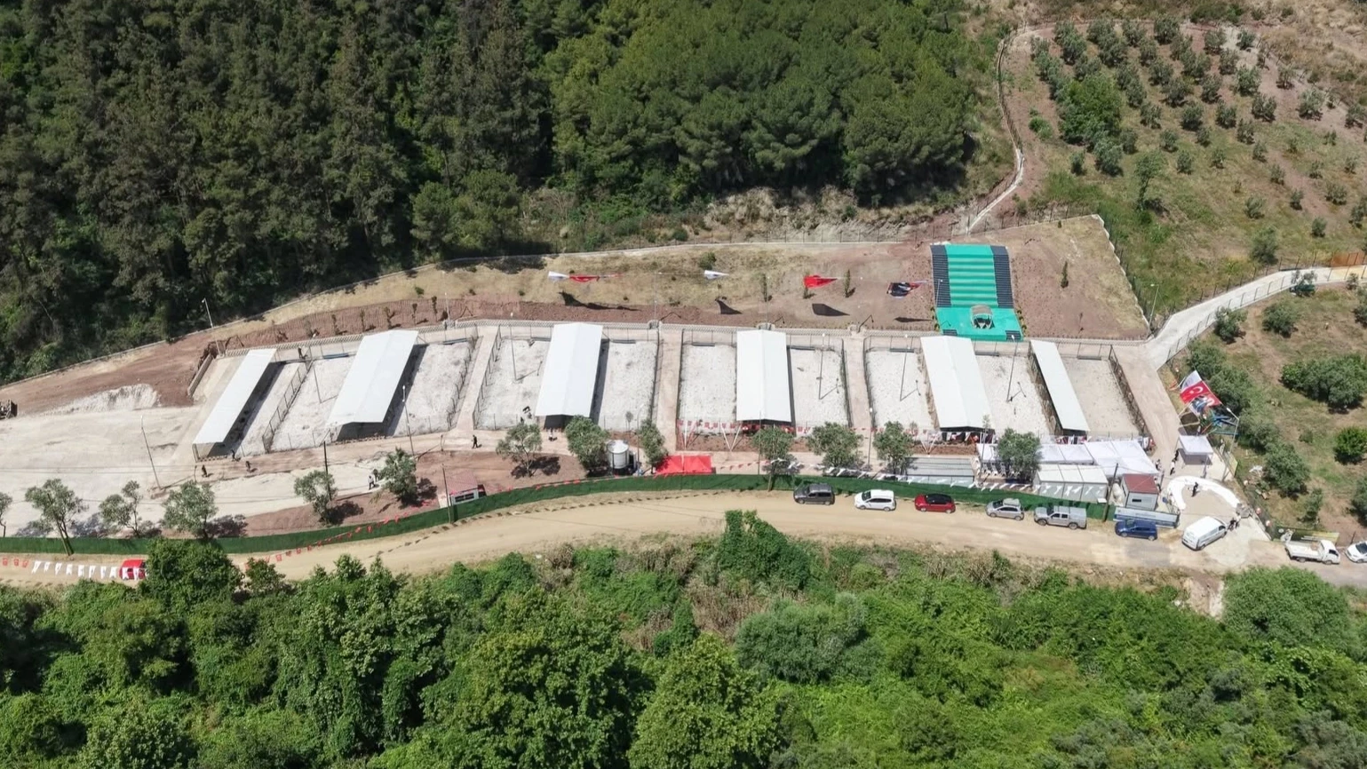 Gemlik’te barınak ziyaretçilere hep açık