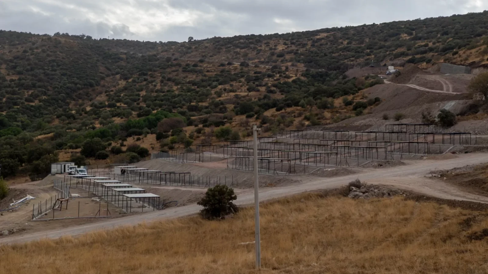 Dikili’ye tam teşekküllü sokak hayvanları kampüsü