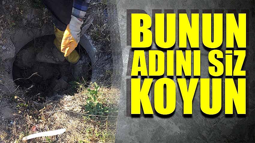 Bunun Adını Siz Koyun