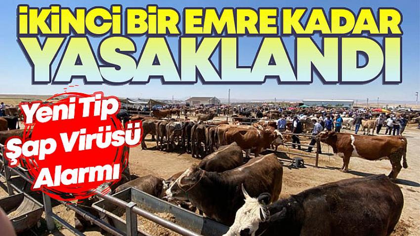 Yeni Tip Şap Virüsü Alarmı