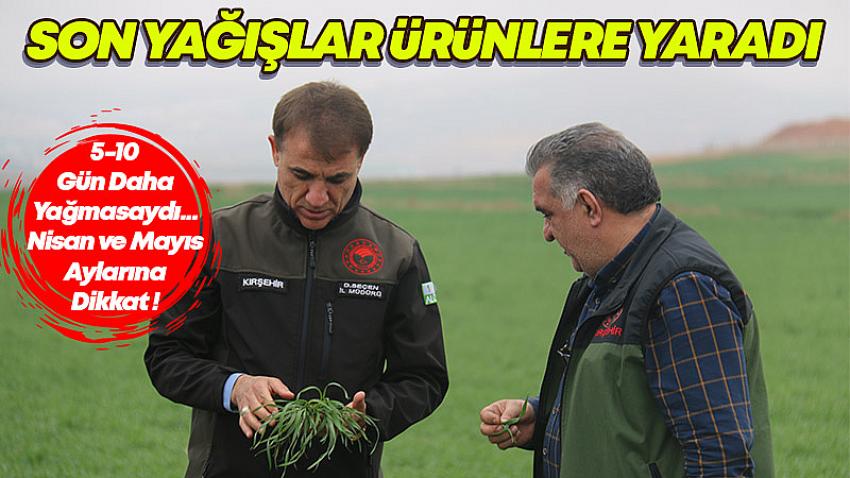 Son Yağışlar Ürünlere Yaradı