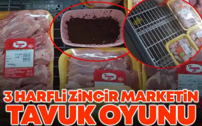 3 Harfli Zincir Marketin Tavuk Oyunu 