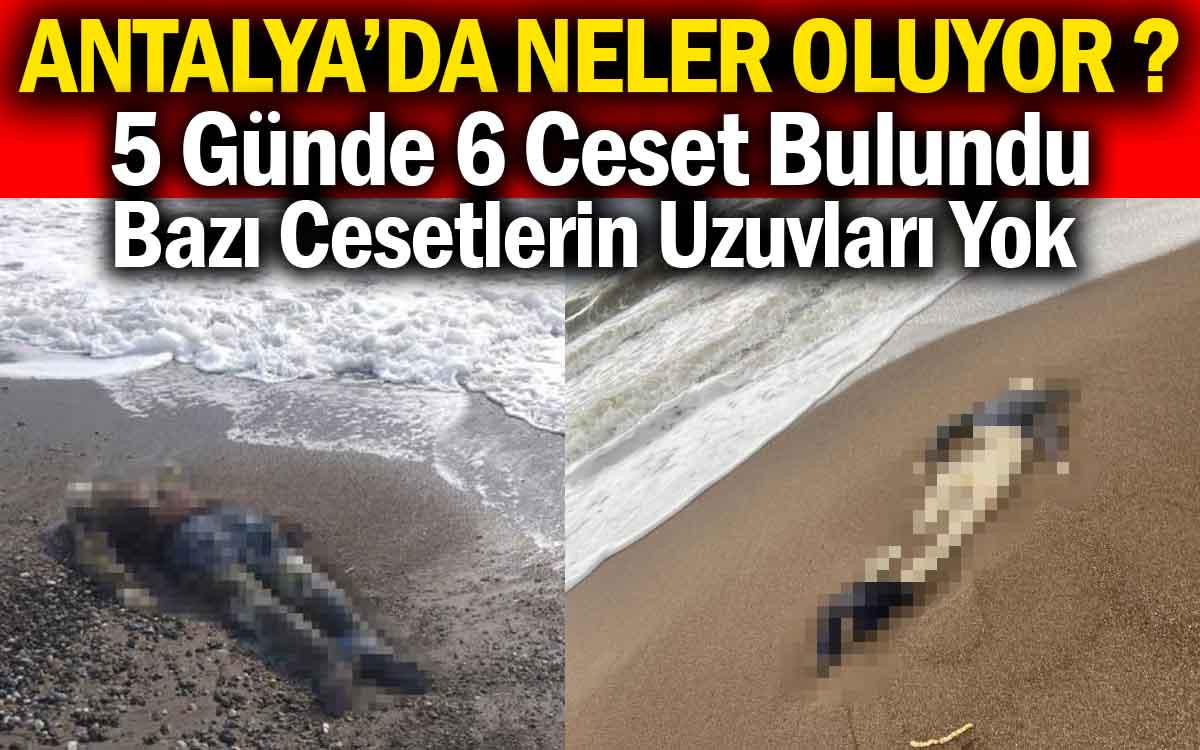Antalya'da 5 Günde 6 Ceset Bulundu