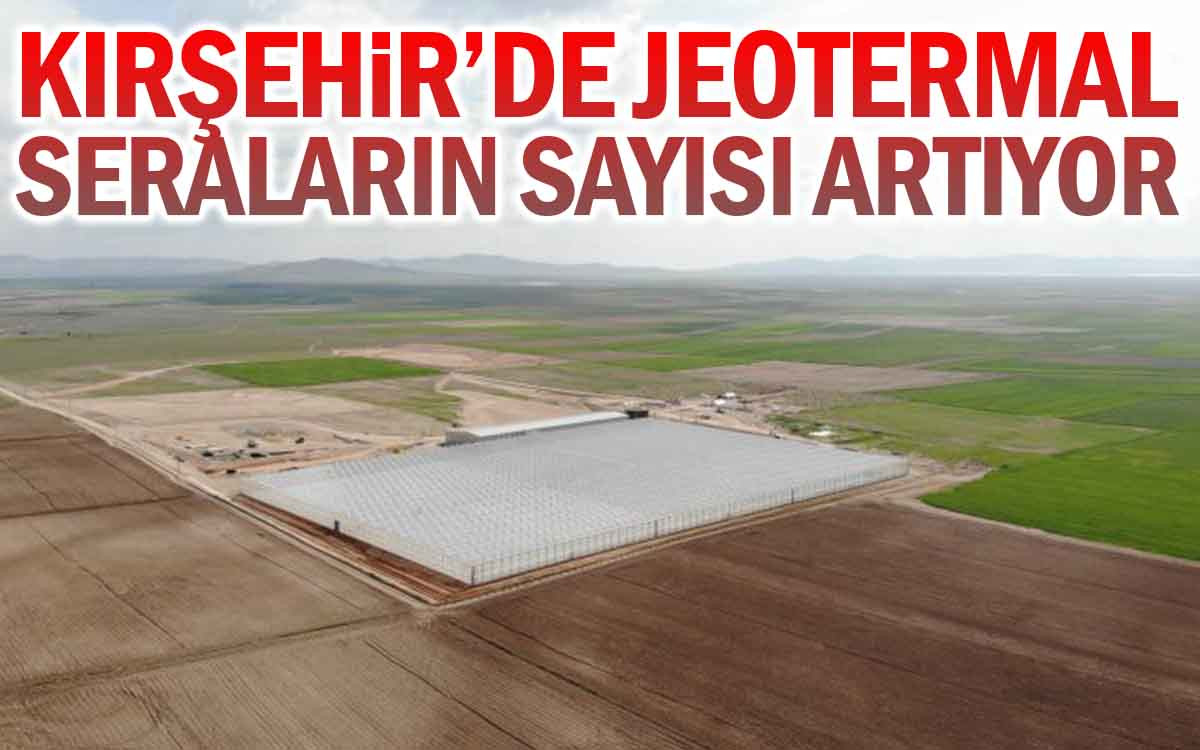 Kırşehir'de Jeotermal Seraların Sayısı Artıyor