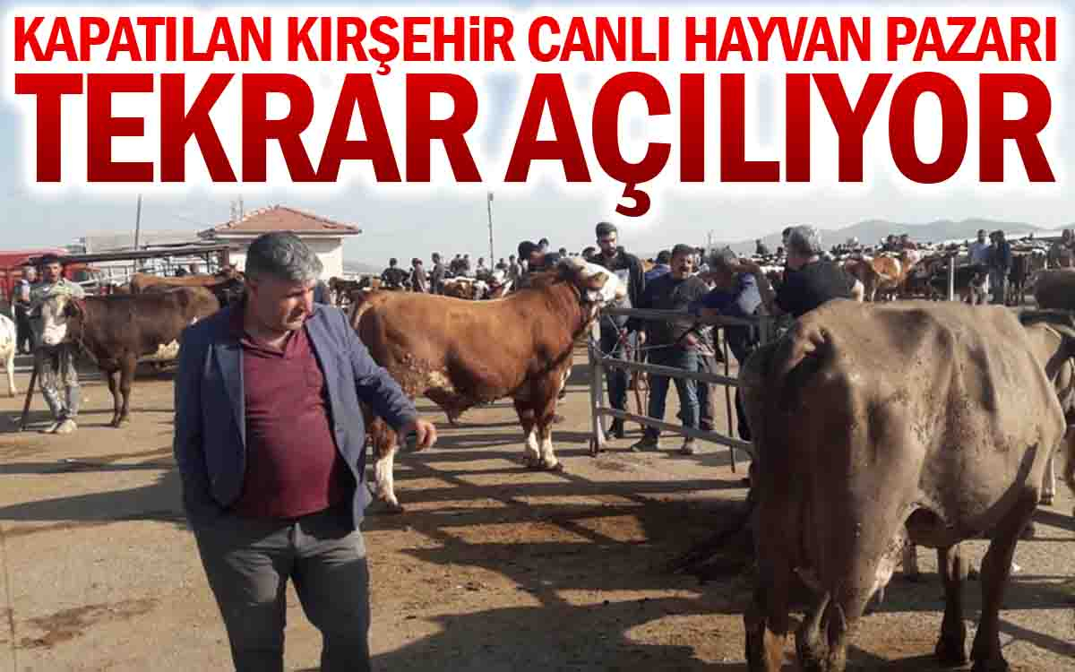 Kırşehir Canlı Hayvan Pazarı Tekrar Açılıyor