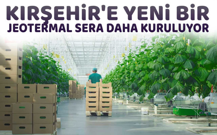 Kırşehir'e yeni bir jeotermal sera daha kuruluyor