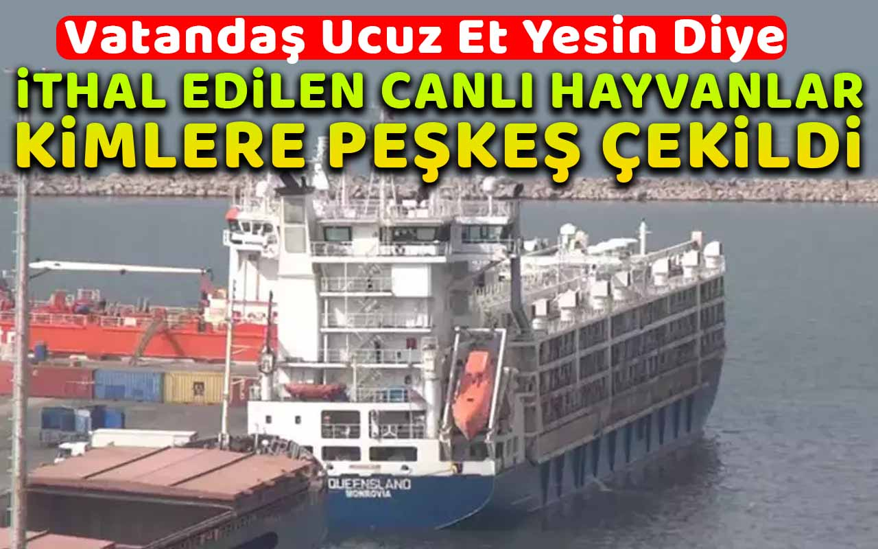 İthal edilen canlı hayvanlar kimlere peşkeş çekildi