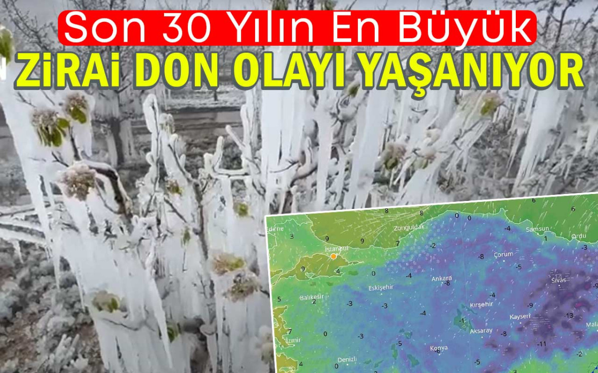 Zirai don meyve ve sebzeleri kırdı geçirdi