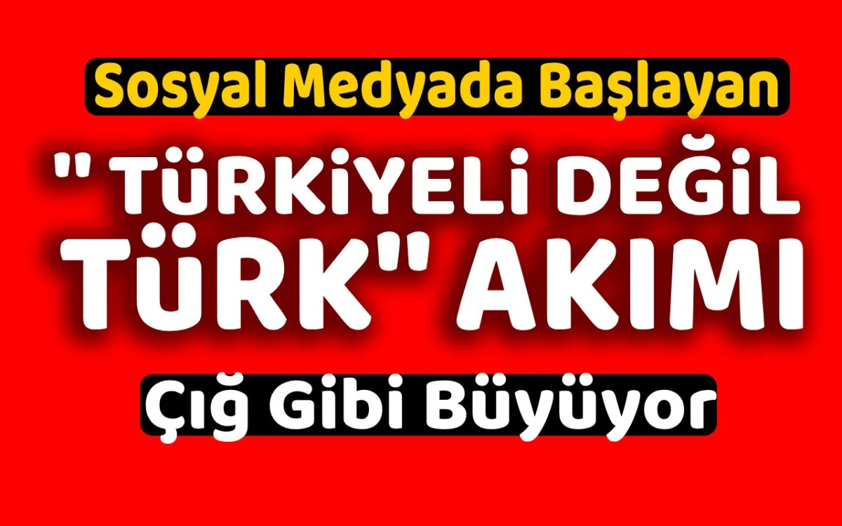 ''Türkiyeli değil, Türk'' akımı çığ gibi büyüyor