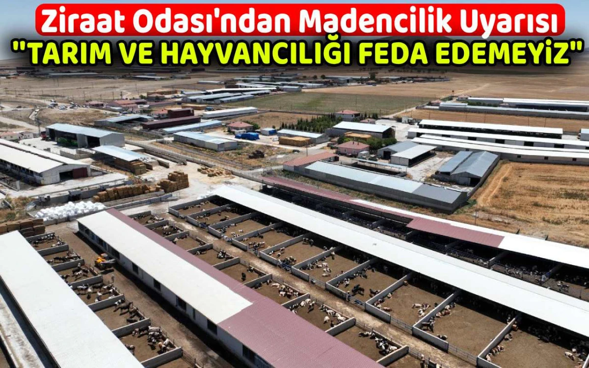 Maden uğruna tarım ve hayvancılığı feda edemeyiz