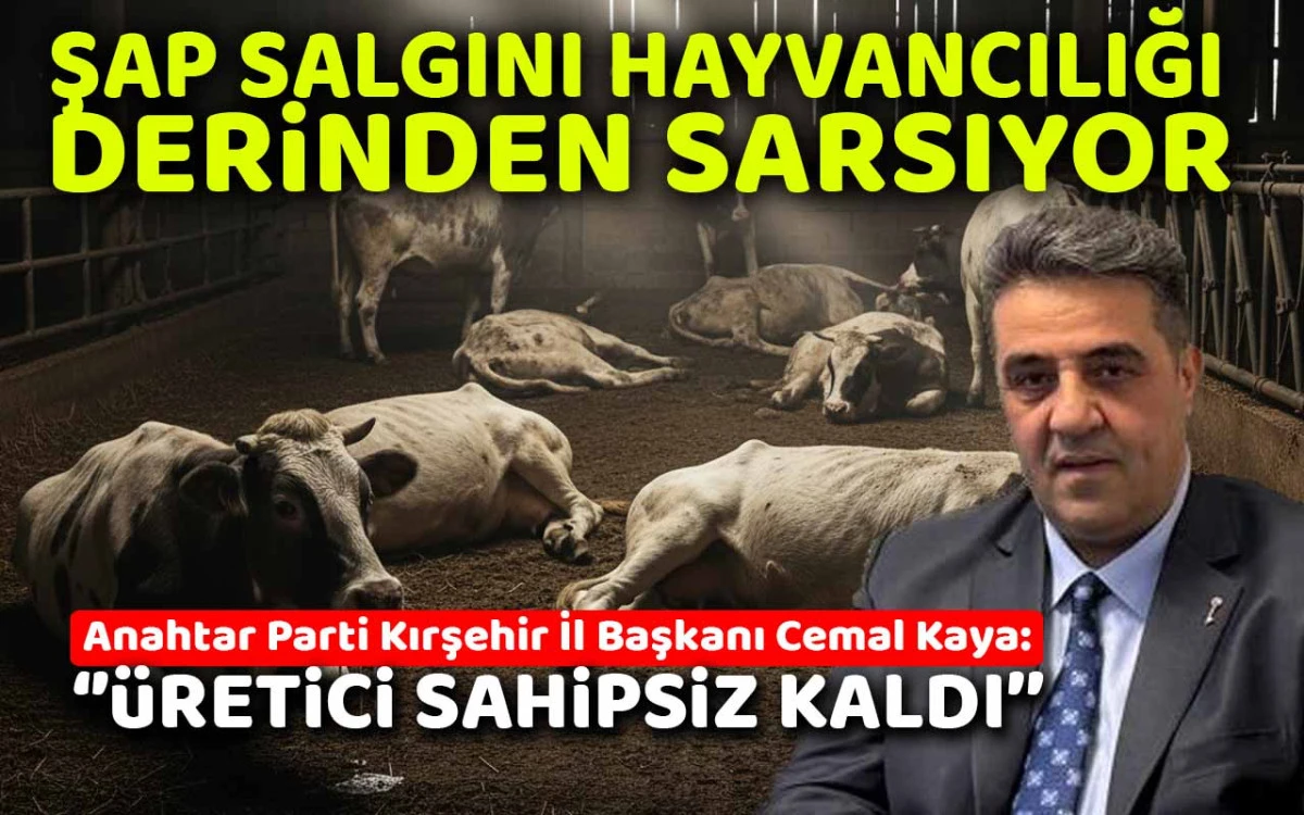 Şap salgını hayvancılığı derinden sarstı