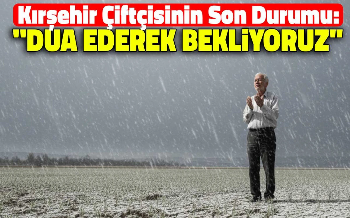 Ziraat odası uyardı: Yağış olmazsa kayıp büyük