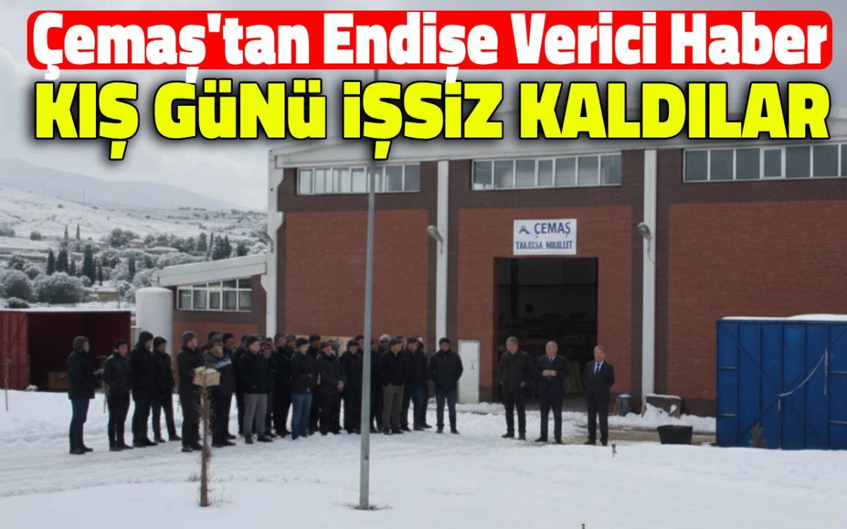 Çemaş'ta kriz: Çok sayıda işçi kış günü işsiz kaldı