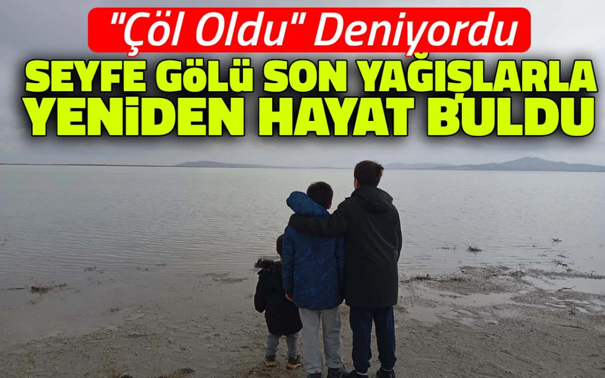 Seyfe Gölü son yağışlarla yeniden hayat buldu