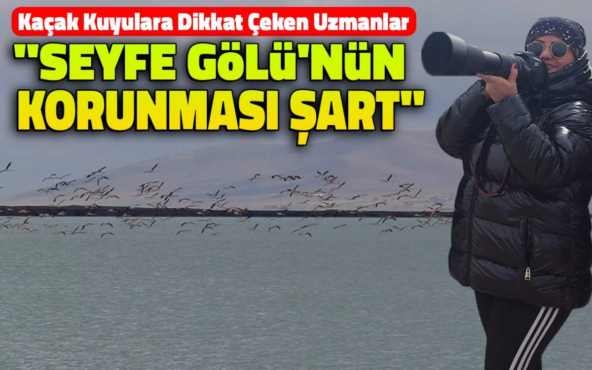 Flamingolar döndü, uzmanlar uyardı: Seyfe Gölü’nün korunması şart