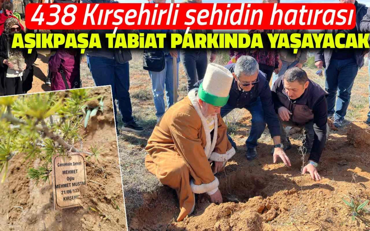 438 Kırşehirli şehidin hatırası Aşıkpaşa Tabiat Parkı’nda yeşeriyor