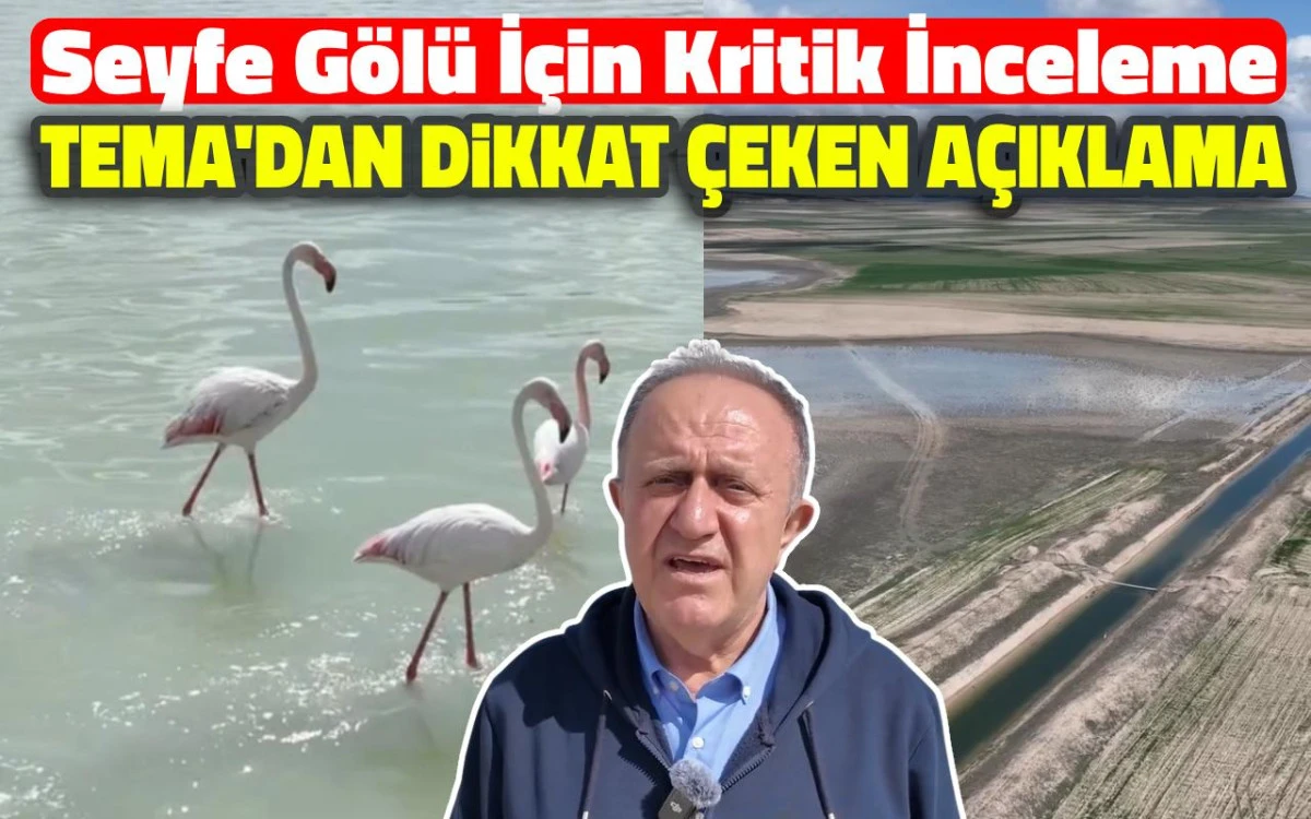Seyfe Gölü için kritik inceleme: TEMA’dan dikkat çeken açıklama