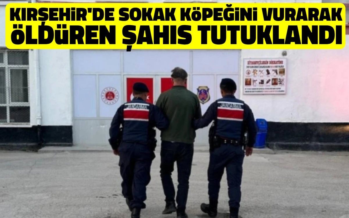Kırşehir’de köpeği tüfekle vuran şahıs tutuklandı