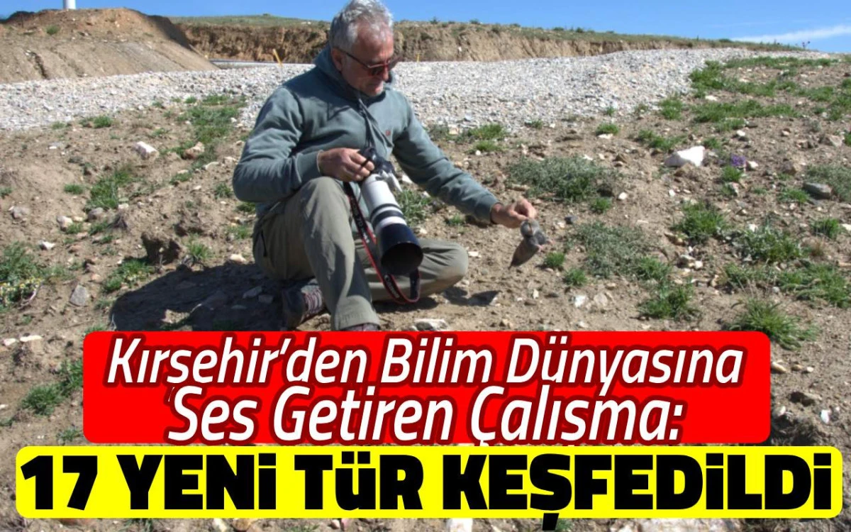 Anadolu’nun biyolojik hazinesi büyüyor: 17 yeni endemik tür keşfedildi