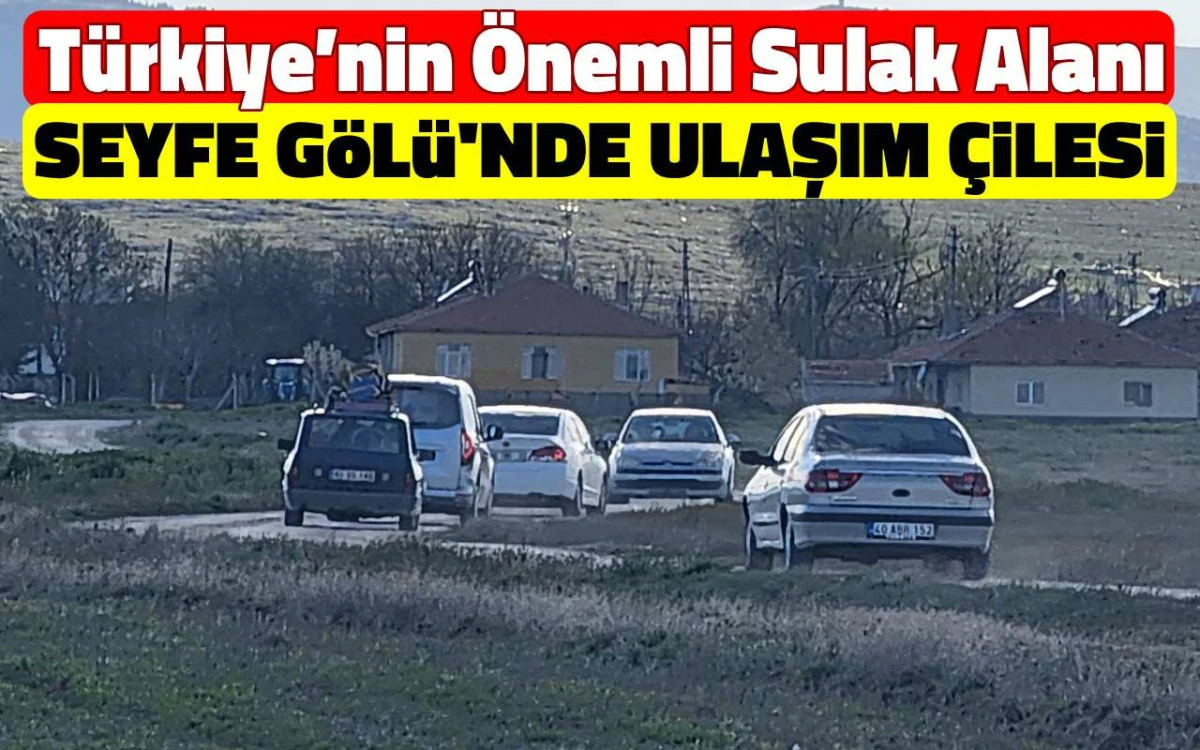 Türkiye’nin önemli sulak alanı Seyfe Gölü’nde ulaşım çilesi