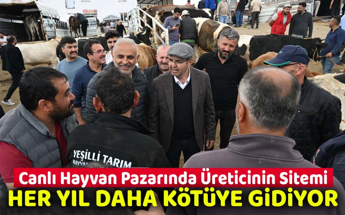 Hayvan Pazarı’nda Üreticinin Sitemi: “Her Yıl Daha Kötüye Gidiyor”