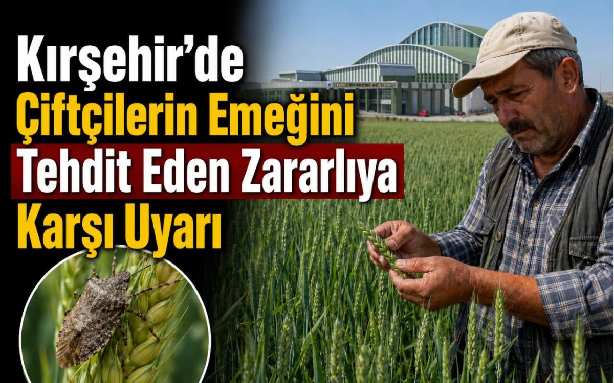 Kırşehir’de çiftçilerin emeğini tehdit eden zararlıya karşı uyarı
