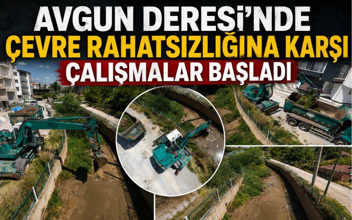 Avgun Deresi'nde çevre rahatsızlığına karşı çalışmalar başladı