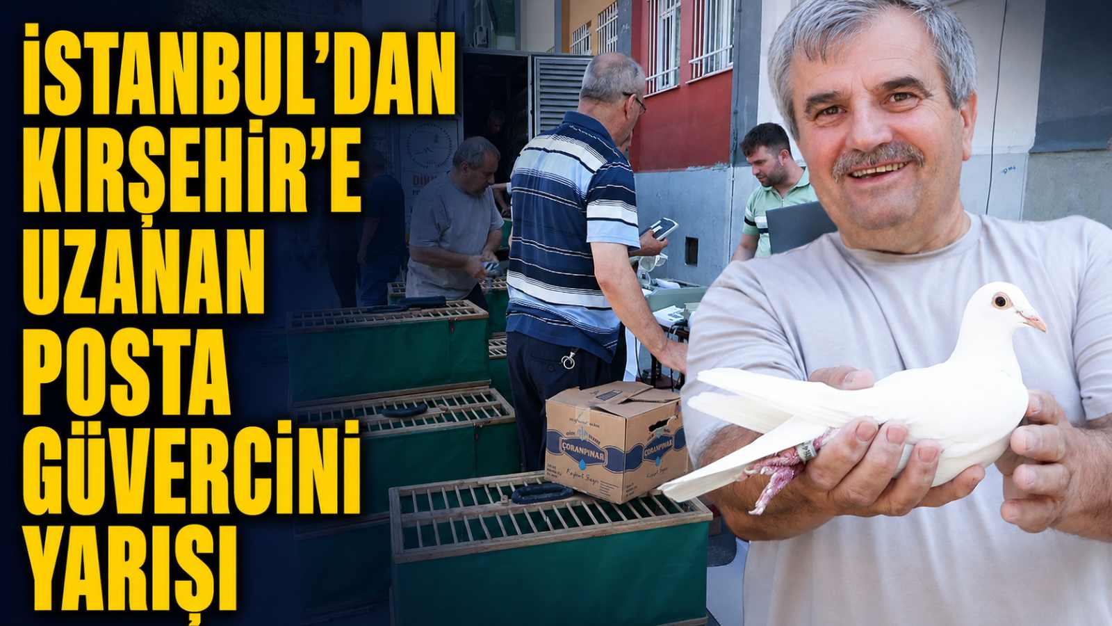İstanbul'dan Kırşehir'e uzanan posta güvercini yarışı