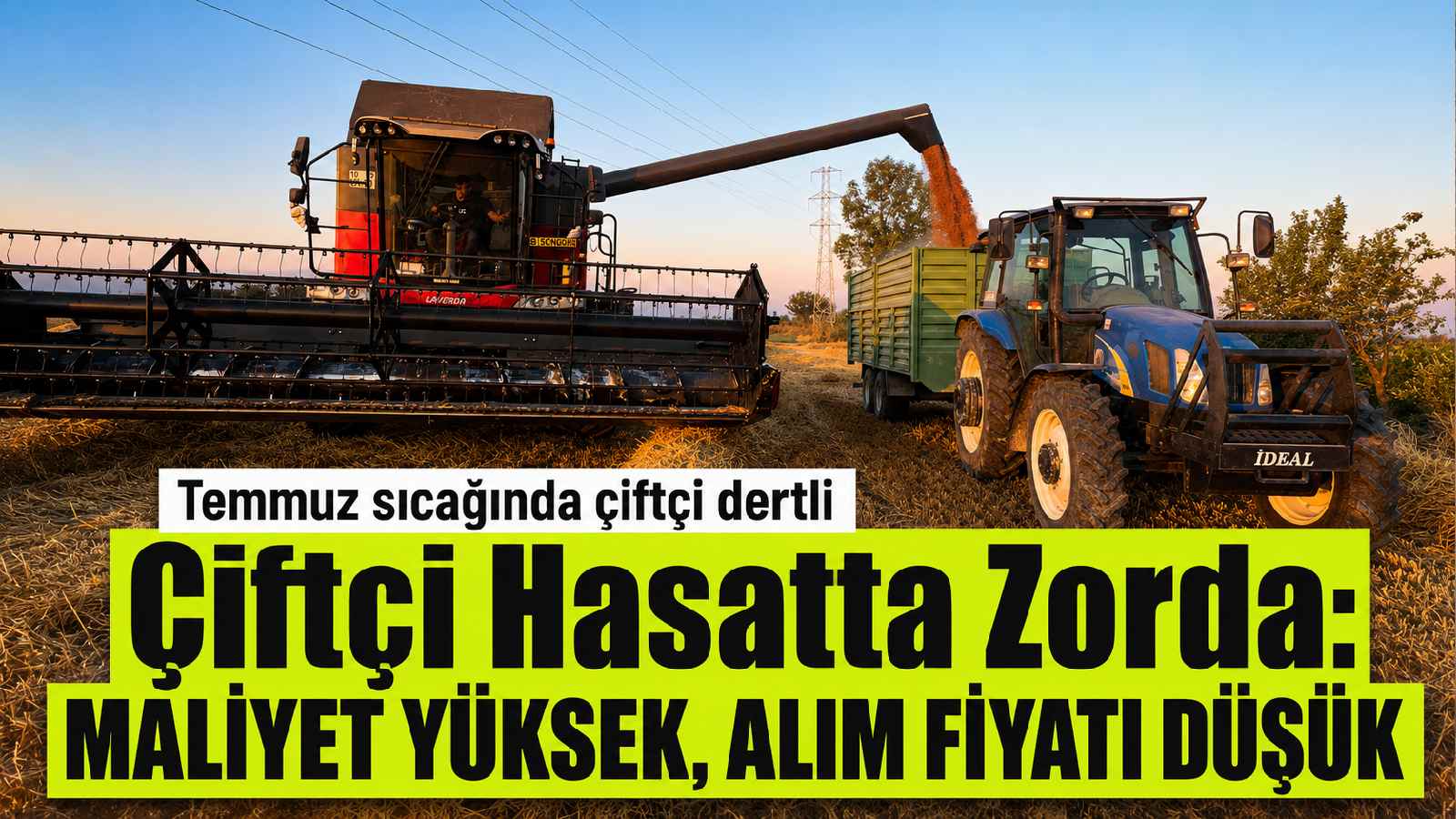Çiftçi hasatta zorda: Maliyet yüksek, alım fiyatı düşük