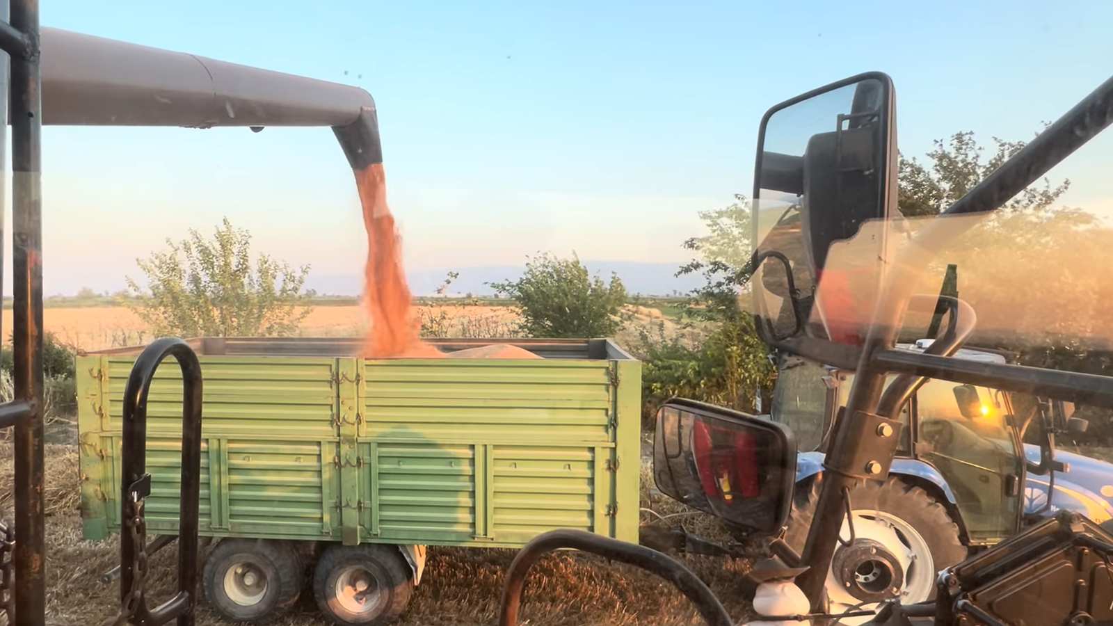 Çiftçi hasatta zorda: Maliyet yüksek, alım fiyatı düşük