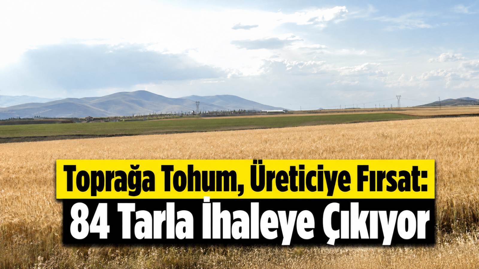 Toprağa Tohum, Üreticiye Fırsat: 84 Tarla İhaleye Çıkıyor