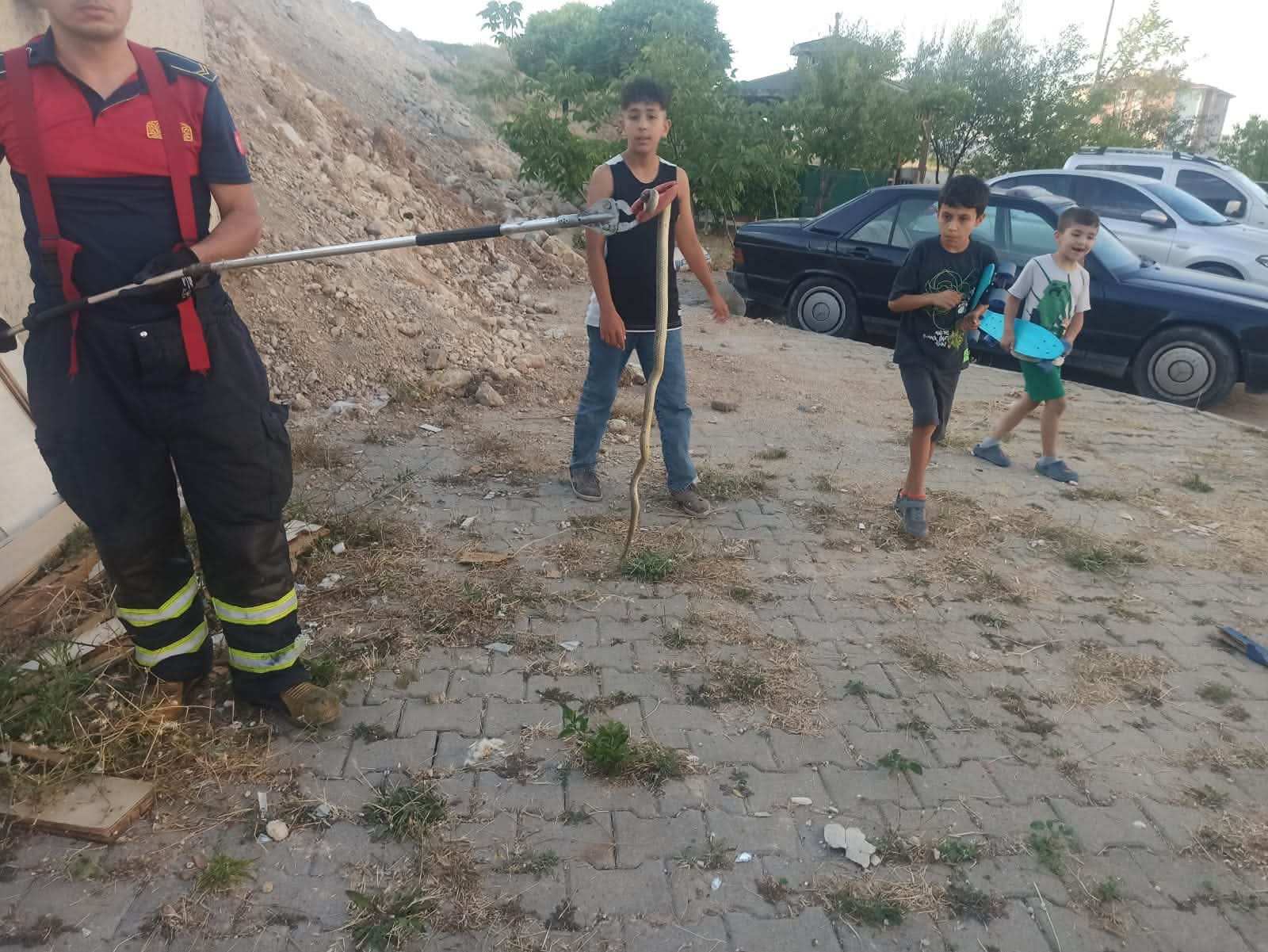 photopearesize1786565329703-111607