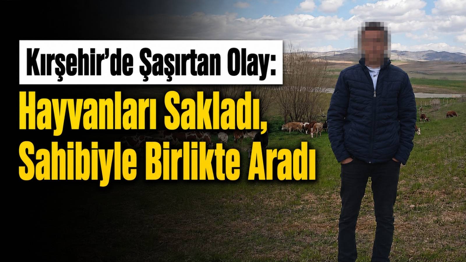 Hayvanları Sakladı, Sahibiyle Birlikte Aradı: Kırşehir’de Şaşırtan Olay