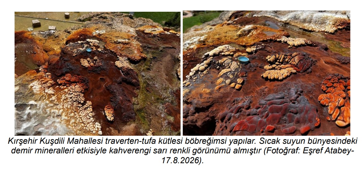 esref-103826