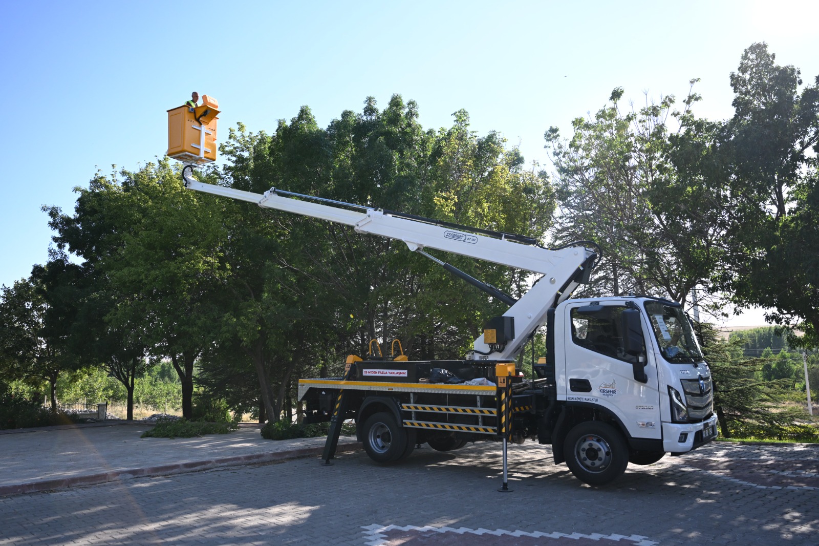 vinc-013615