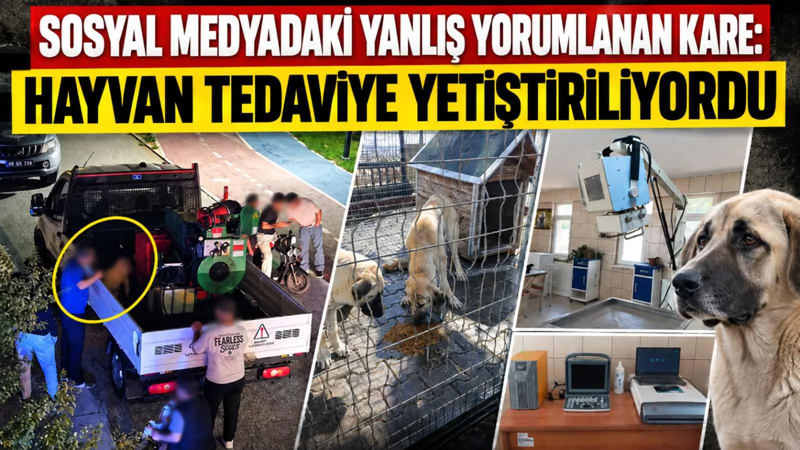 Sosyal Medyada Yanlış Yorumlanan Kare: Hayvan Tedaviye Yetiştiriliyordu