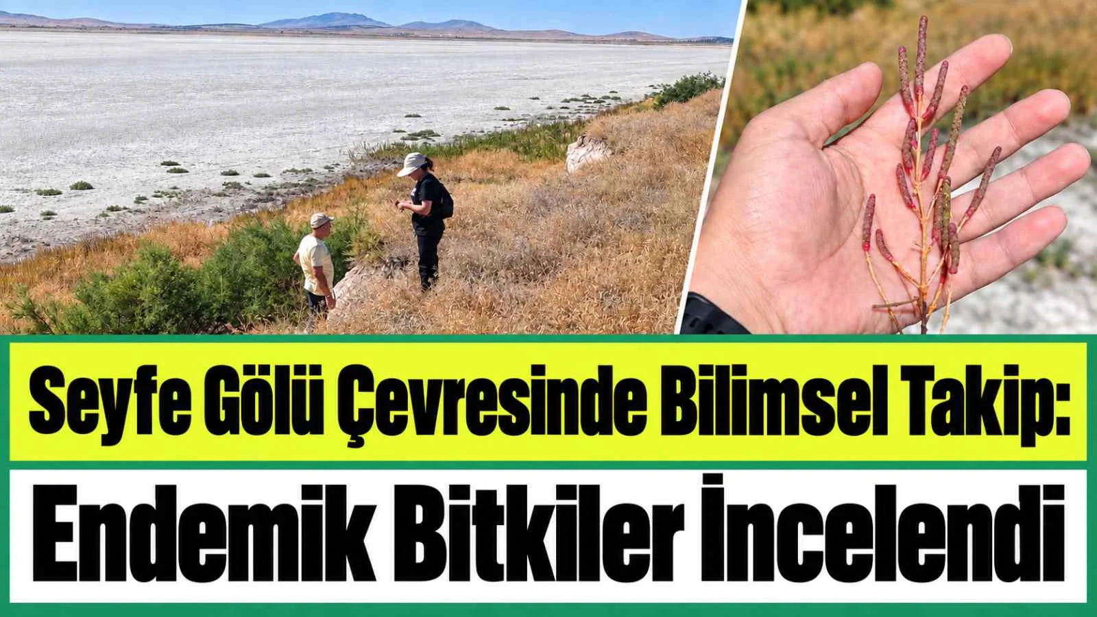 Seyfe Gölü Çevresinde Bilimsel Takip: Endemik Bitkiler İncelendi