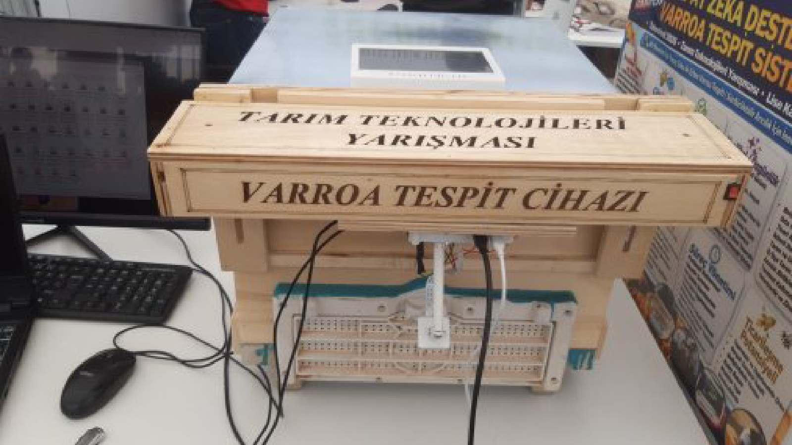 varroa-023250