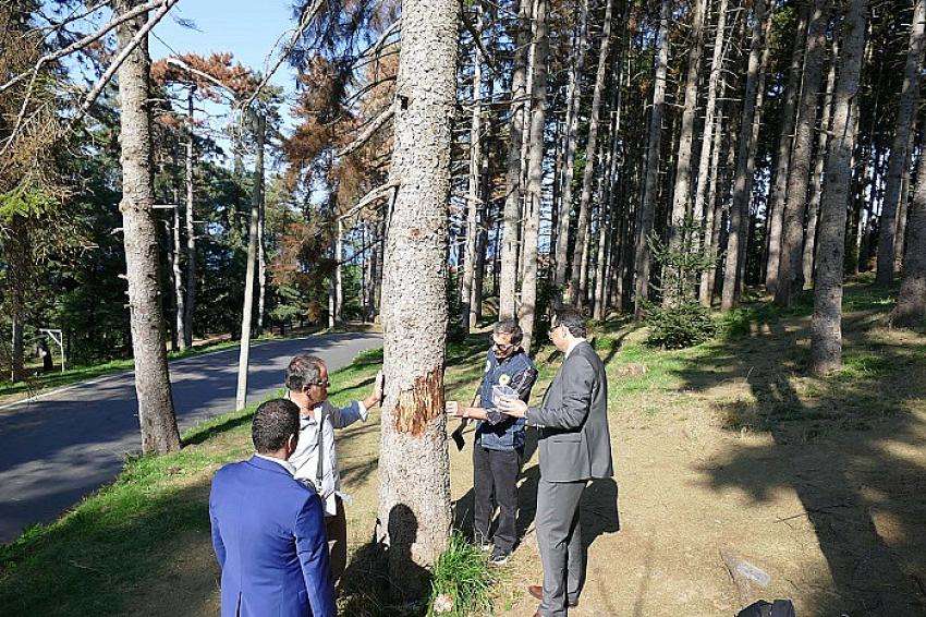 Trabzon Atatürk Köşkü Ormanı İçin Oluşturulan Komisyon Göreve Başladı