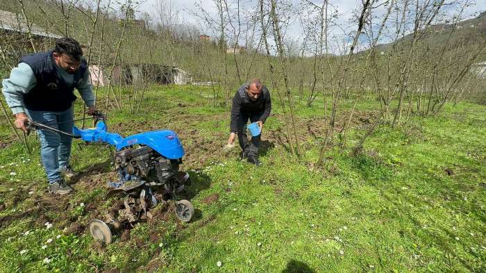 Ordu'da yaklaşık 10 yılda 3 bin örnek fındık bahçesi oluşturuldu
