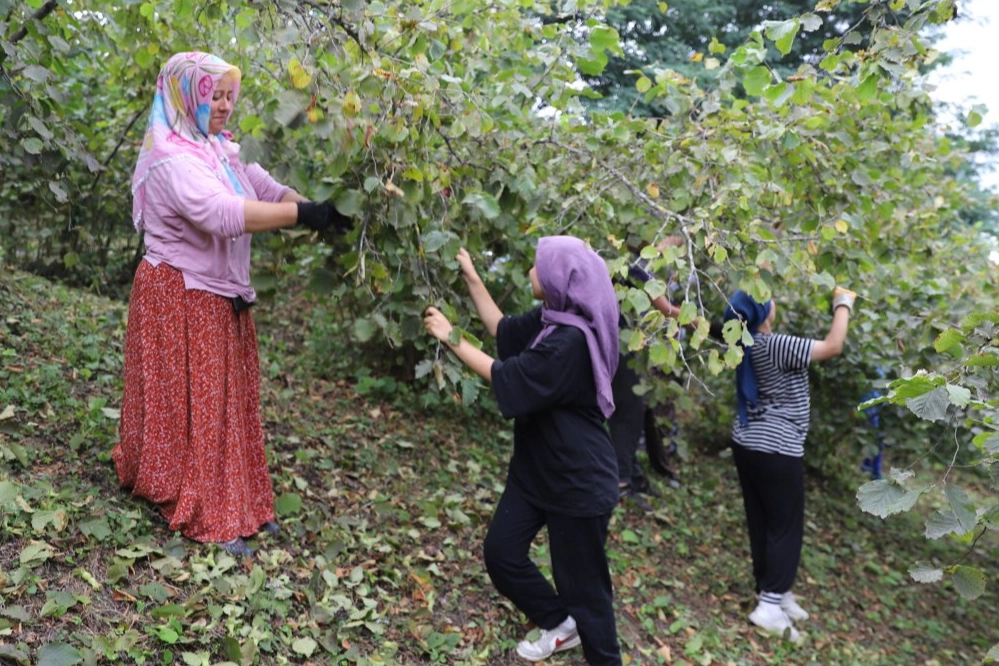 ‘Fındık Dalda Aklın İşçide Kalmasın’ projesi 6'ıncı yılında