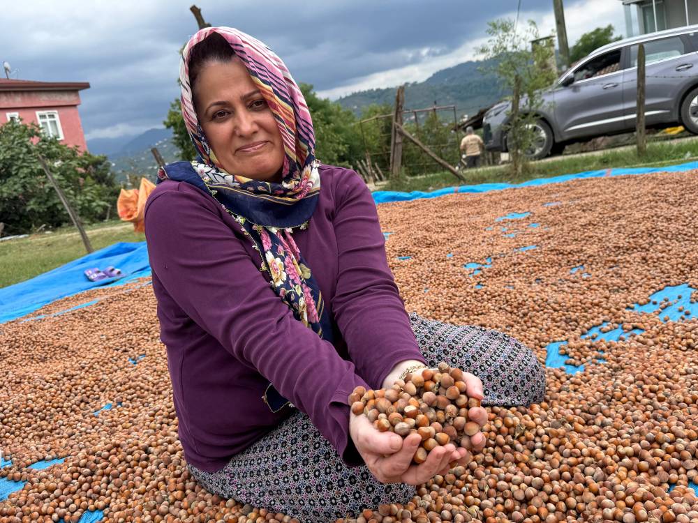 Ordu’da üreticilerin fındık kurutma mesaisi başladı