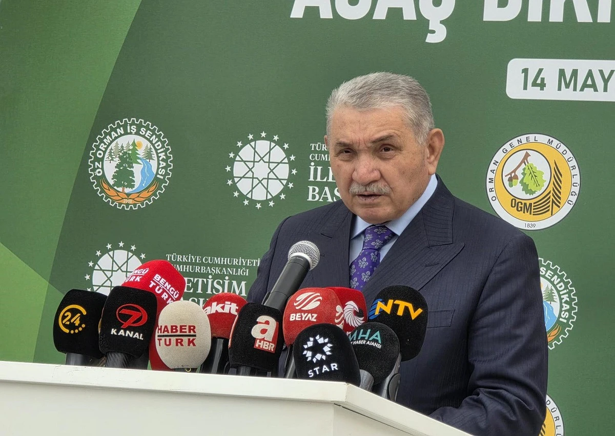 Yeşil Vatan İçin Çağrı: Ormanlarda Temizlik Seferberliği Başlatılmalı!