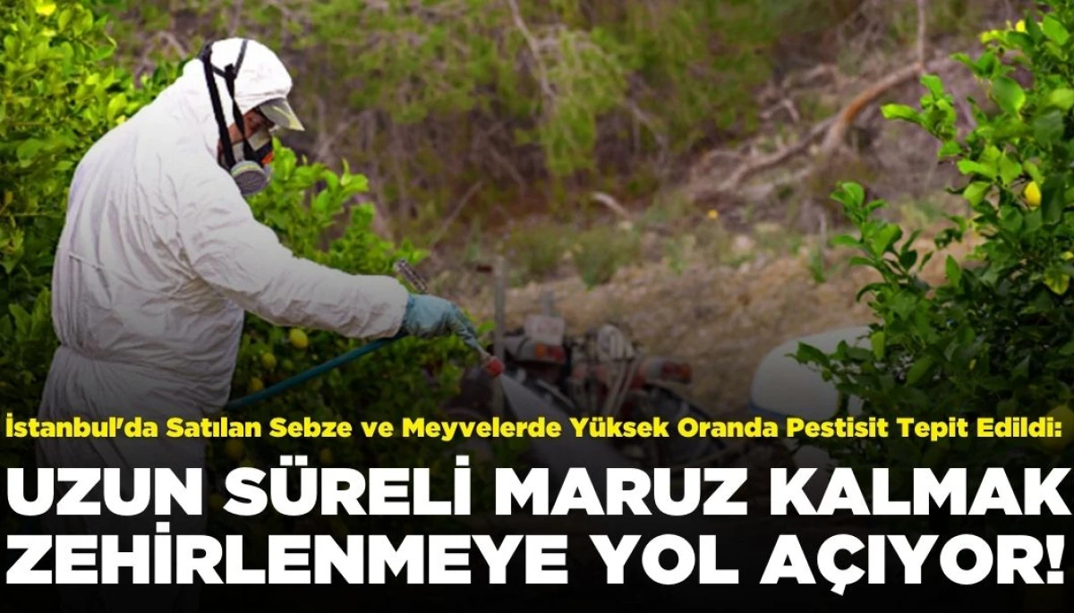 İstanbul'da Satılan Sebze ve Meyvelerde Yüksek Oranda Pestisit Tepit Edildi: Ne Anlama Geliyor?