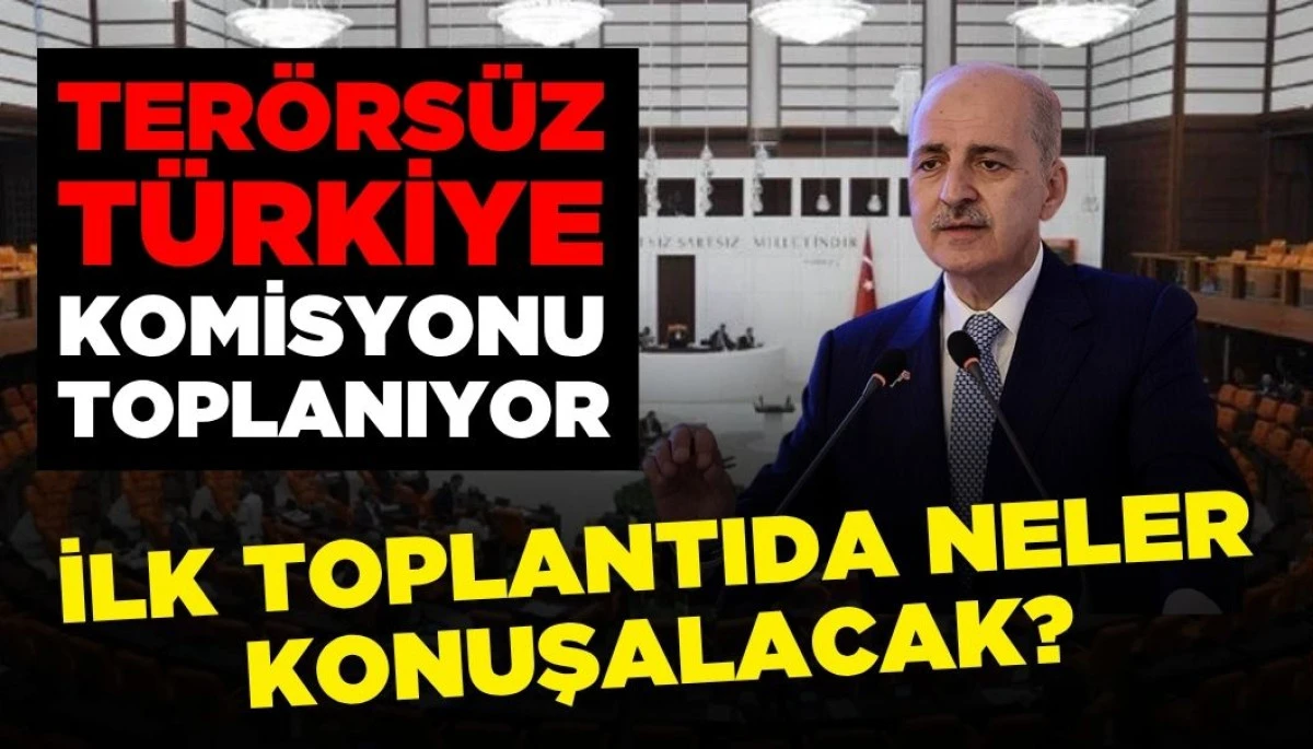 Meclis'te 'Terörsüz Türkiye' Komisyonu İlk Toplantısını Yapacak