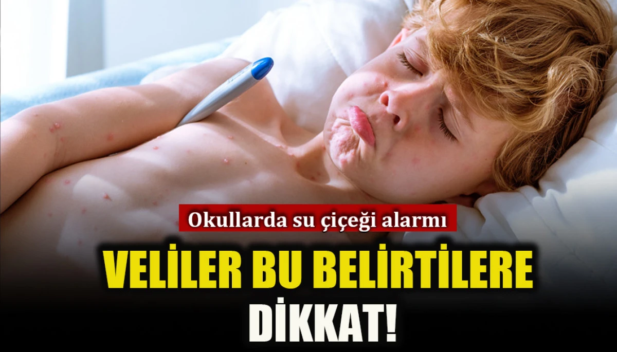 Veliler dikkat: Okullarda su çiçeği alarmı!