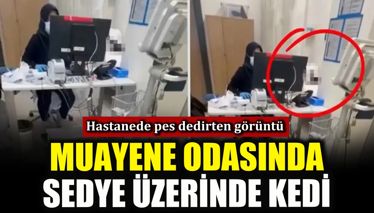 Hastanede pes dedirten görüntü: Muayene odasında sedye üzerinde kedi 