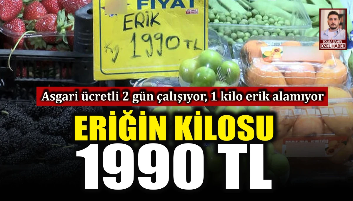 Eriğin kilosu 1990 TL. Asgari ücretli 2 gün çalışıyor, 1 kilo erik alamıyor