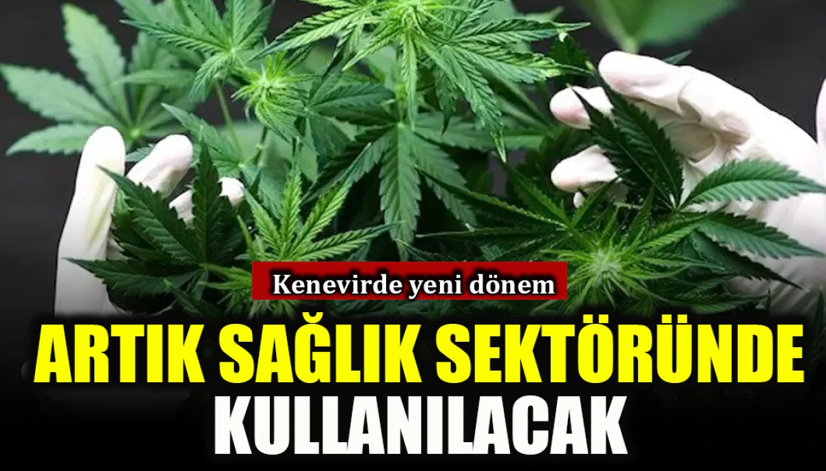 Resmi Gazete'de yayımlandı: Kenevirde yeni dönem